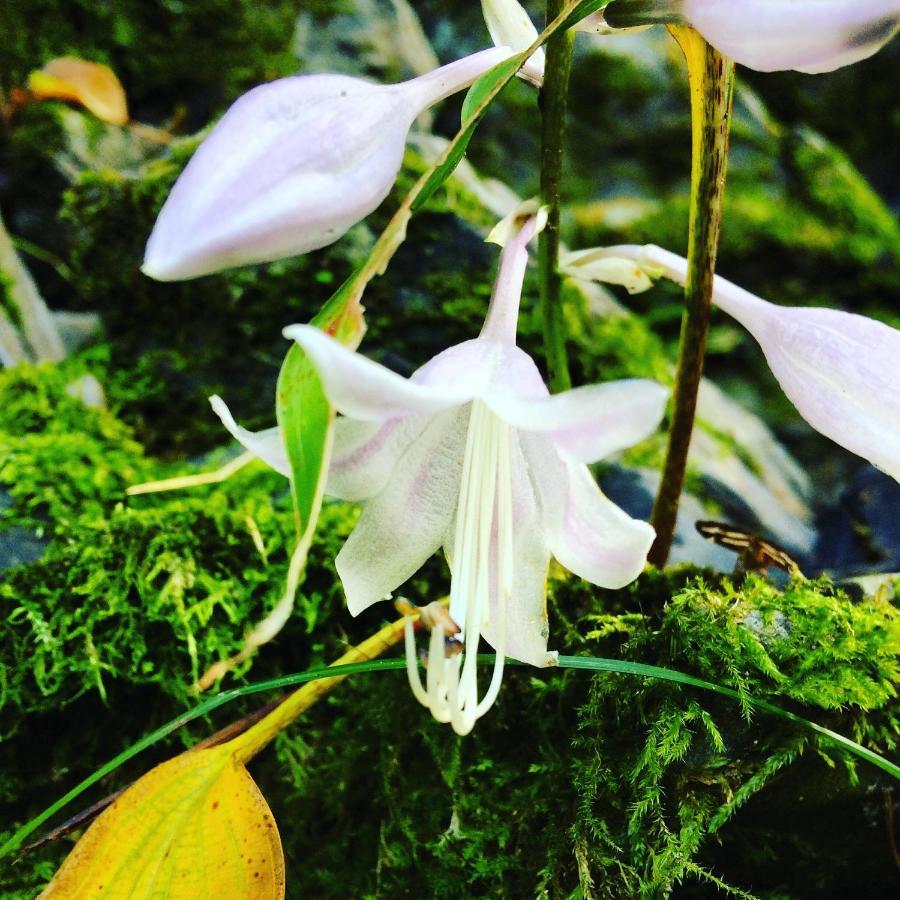 Otsu Nature Garden Akiruno Εξωτερικό φωτογραφία