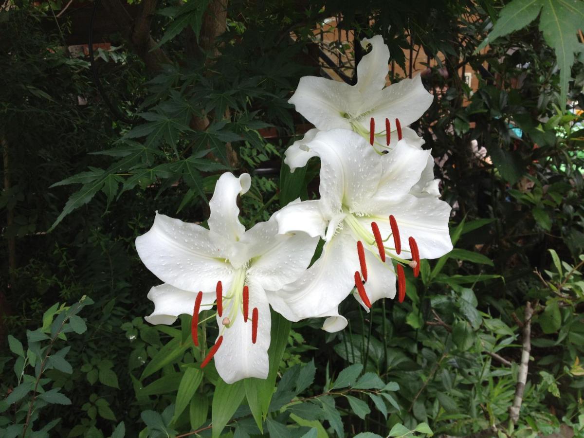 Otsu Nature Garden Akiruno Εξωτερικό φωτογραφία
