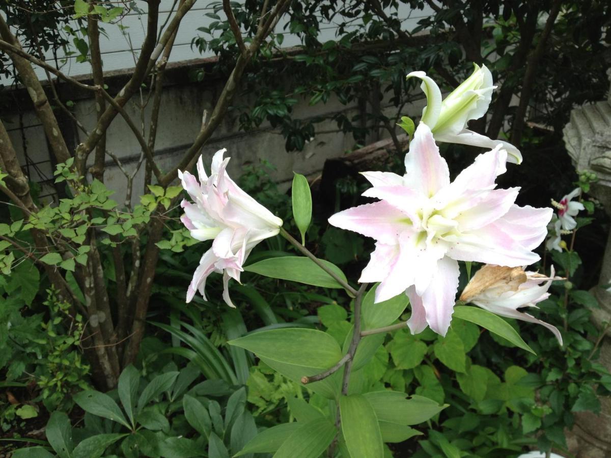 Otsu Nature Garden Akiruno Εξωτερικό φωτογραφία