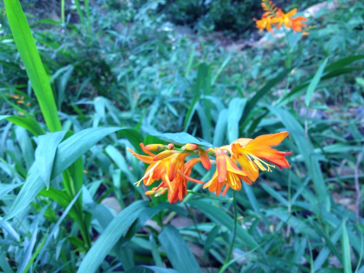 Otsu Nature Garden Akiruno Εξωτερικό φωτογραφία