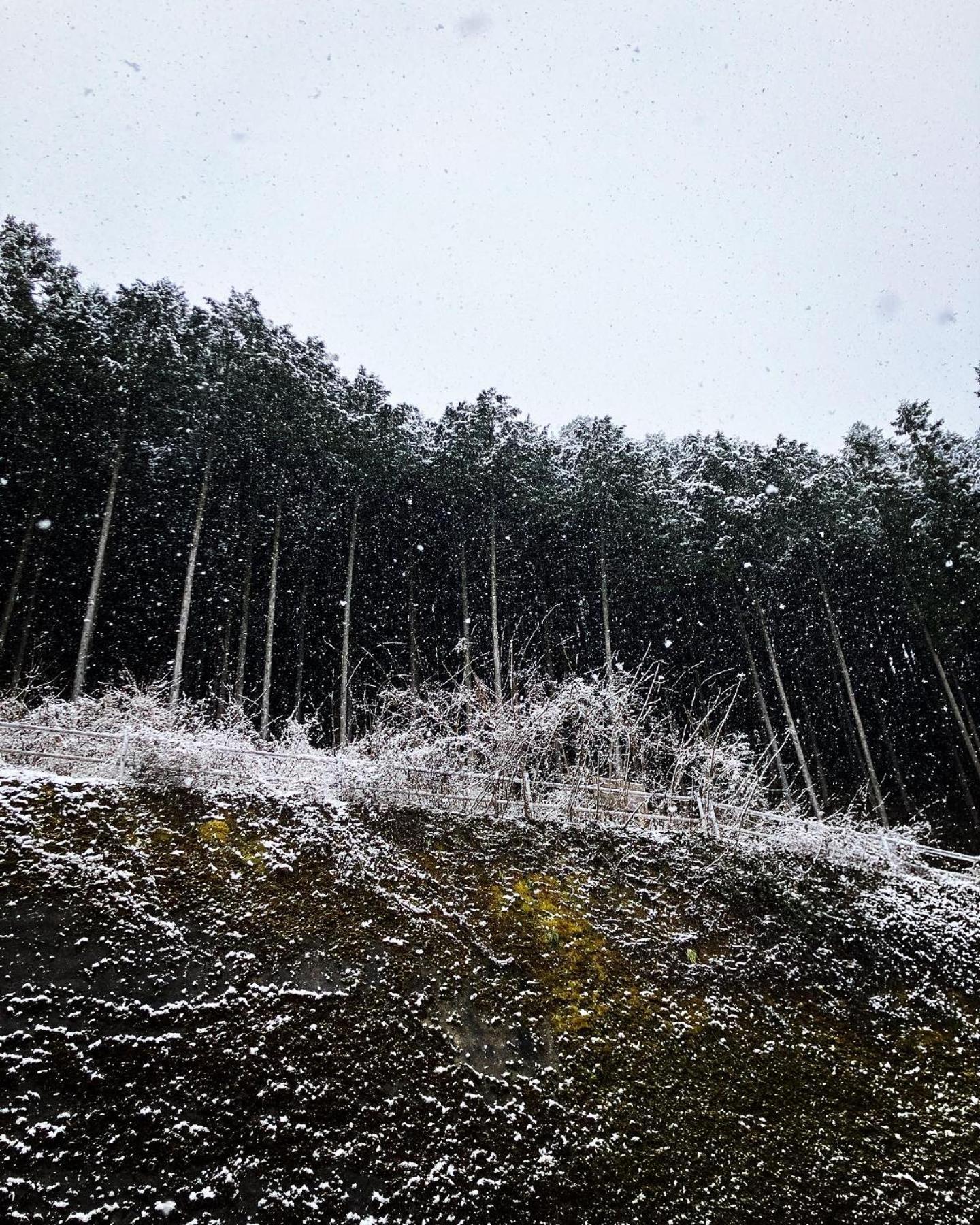 Otsu Nature Garden Akiruno Εξωτερικό φωτογραφία