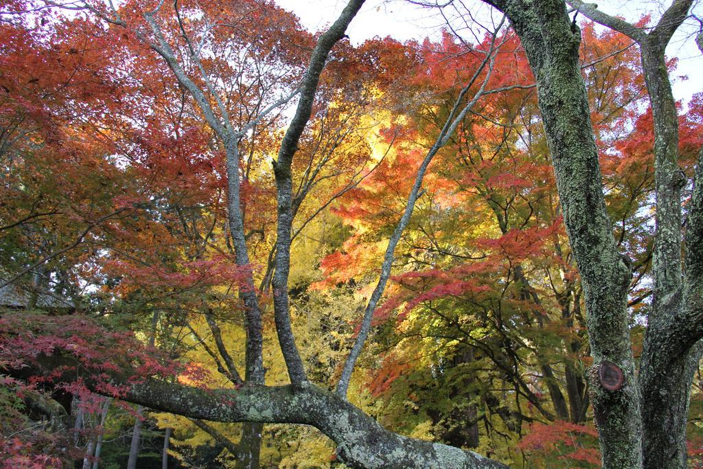 Otsu Nature Garden Akiruno Εξωτερικό φωτογραφία