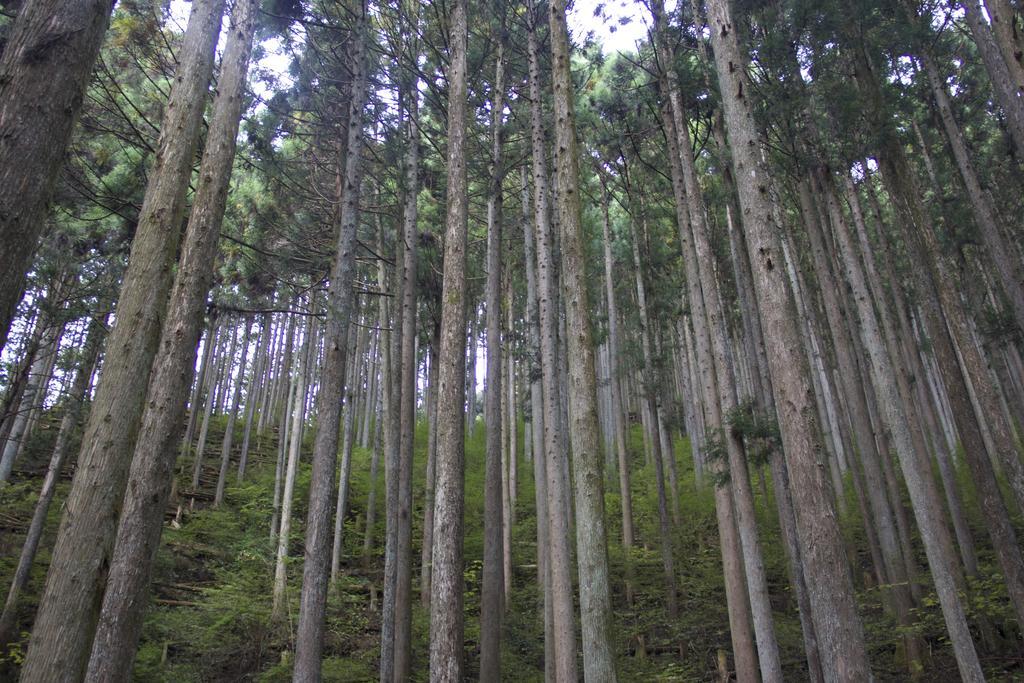 Otsu Nature Garden Akiruno Εξωτερικό φωτογραφία